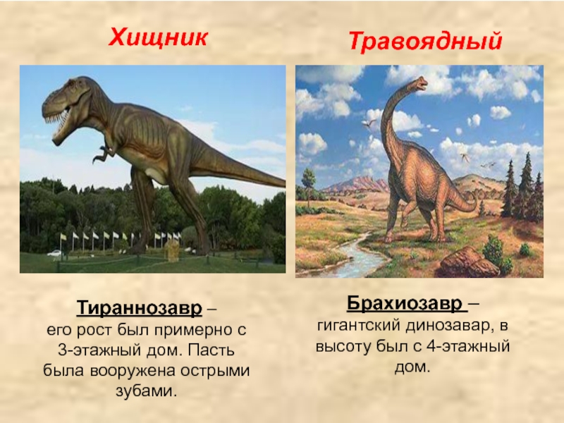 Открытки